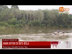 ANAK ANYUIK DI BATU BOLA
